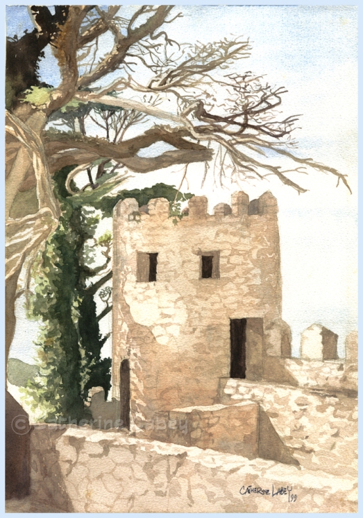 Árvore seca no Castelo dos Mouros